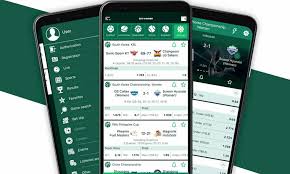 BetWinner Online Casino and Sportsbook Winning Opportunities Await!