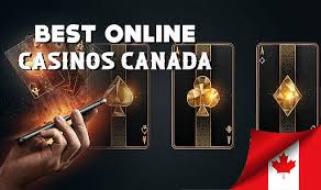Top Online Gambling Sites Your Ultimate Guide to the Best Platforms Top Online Gambling Sites Your Ultimate Guide to the Best Platforms