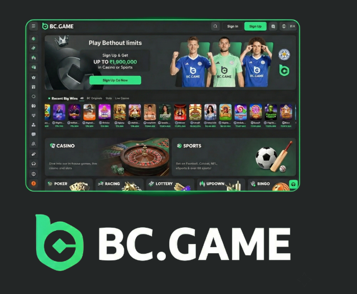 BC.Game Login Process Steps to Secure Access